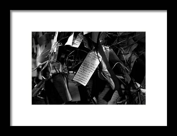 Plant Framed Print featuring the photograph Wake Up America by Stephen Russell Shilling