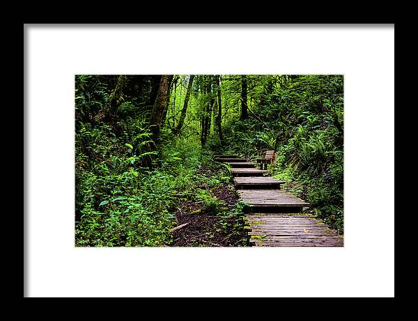 Park Framed Print featuring the photograph Walk in the Park by Aashish Vaidya