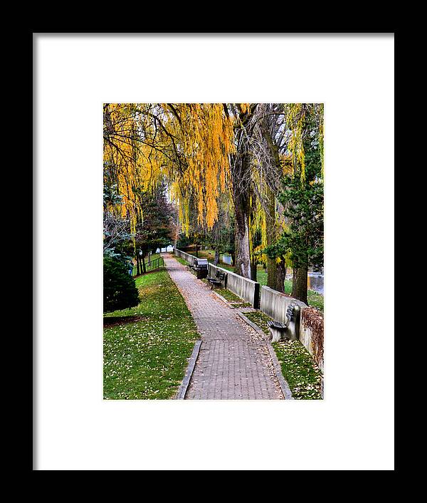 Park Framed Print featuring the photograph Walk in the Park by Scott Hovind