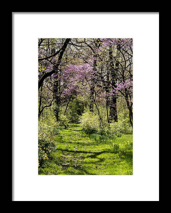 Morton Arboretum Framed Print featuring the photograph Walk in the Park by Tom Potter