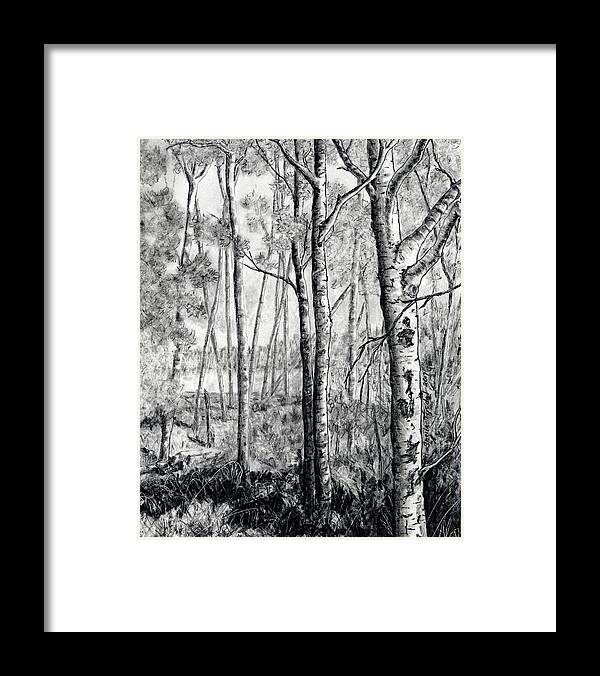 Graphite Framed Print featuring the drawing Walk in the Trees by Sheila Tysdal