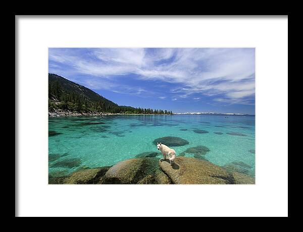 Lake Tahoe Framed Print featuring the photograph Walk On Water by Sean Sarsfield