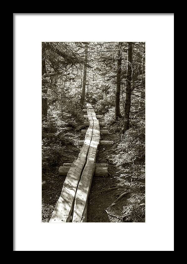 Path Framed Print featuring the photograph Walk With Me by Holly Ross