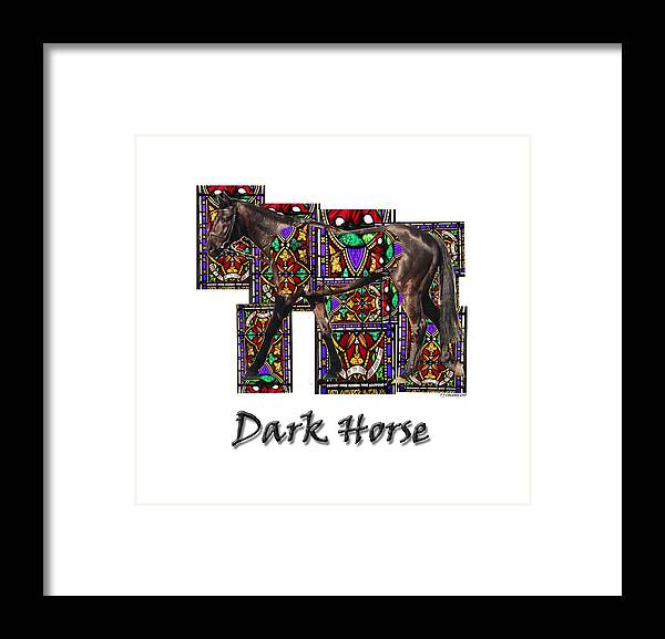 Horse Framed Print featuring the photograph Walking Horse 2 Dark Horse by Tom Conway