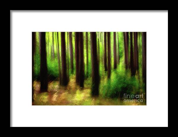 Landscapes Framed Print featuring the photograph Walking In The Woods by Sal Ahmed