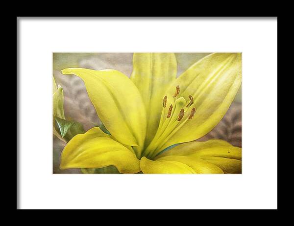 Yellow Framed Print featuring the photograph Walking On Air by Louise Hill