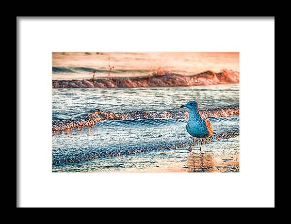 Ocean Framed Print featuring the photograph Walking On Sunshine by Mathias Janke