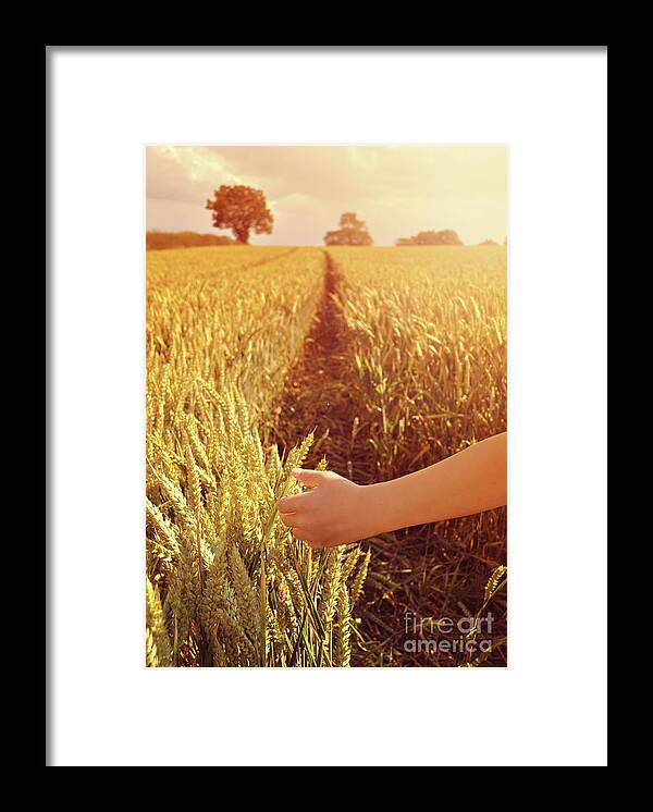 Hand Framed Print featuring the photograph Walking through wheat field by Lyn Randle