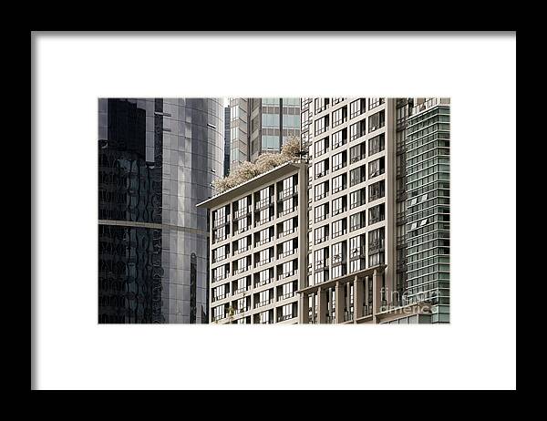 Vancouver Framed Print featuring the photograph Walls of Glass by John Mitchell