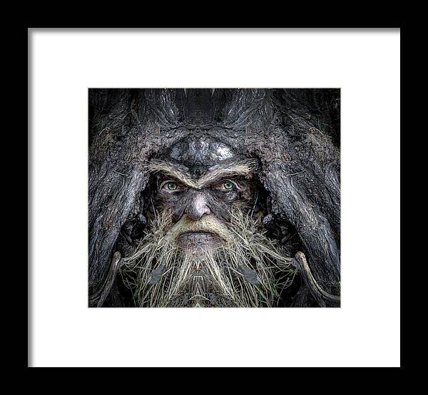 Wood Framed Print featuring the digital art Wally Woodfury by Rick Mosher