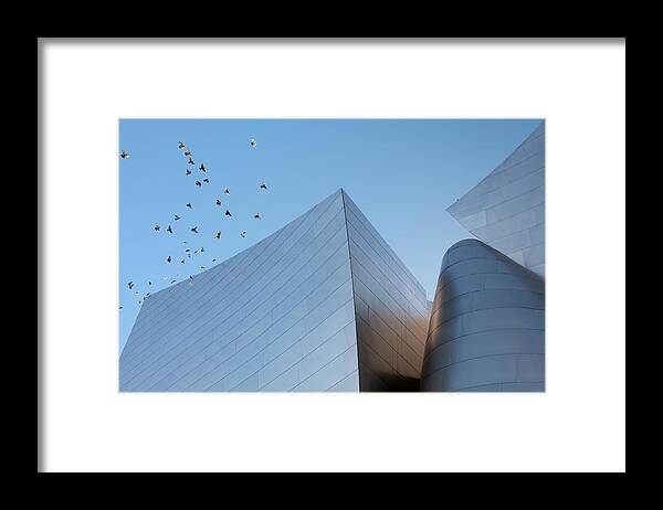 Walt Disney Framed Print featuring the photograph Walt Disney Concert Hall Los Angeles California Architecture Abstract by Ram Vasudev