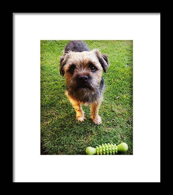 Dog Framed Print featuring the photograph Wanna Play by Rowena Tutty