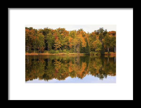 Warm Autumn Reflections Framed Print featuring the photograph Warm Autumn Reflections by Rachel Cohen