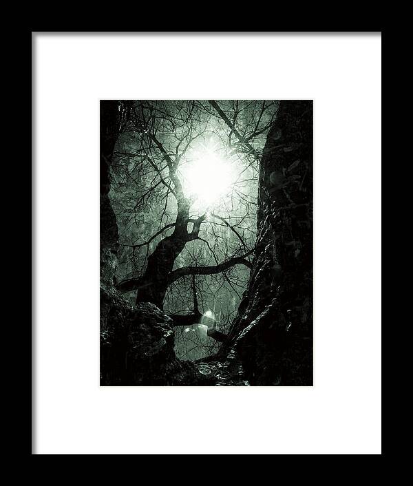 Tree Framed Print featuring the photograph Warm Yet Cold by Ken Krolikowski