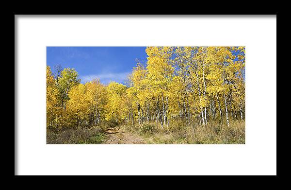 Wasatch Fall Framed Print featuring the photograph Wasatch Fall by Chad Dutson