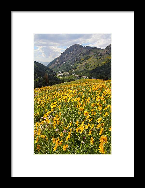 Landscape Framed Print featuring the photograph Wasatch Wildflowers by Brett Pelletier
