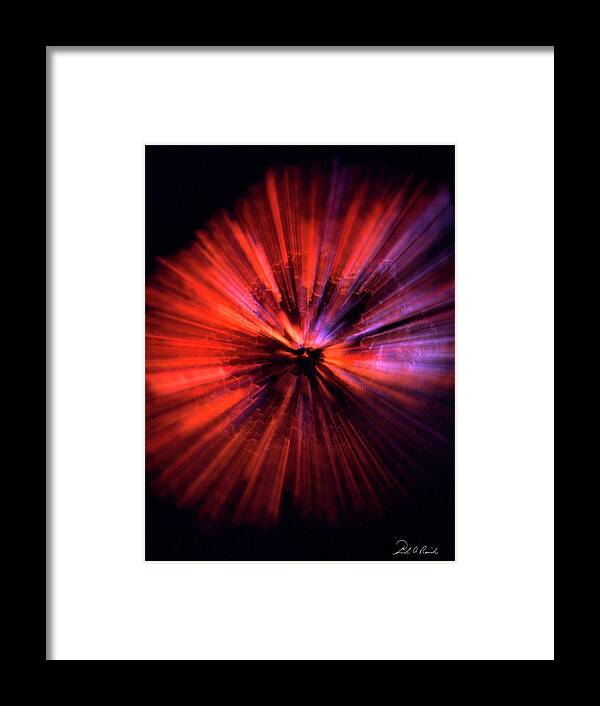 Color Framed Print featuring the photograph Wasp Nest Asteroid One by Frederic A Reinecke