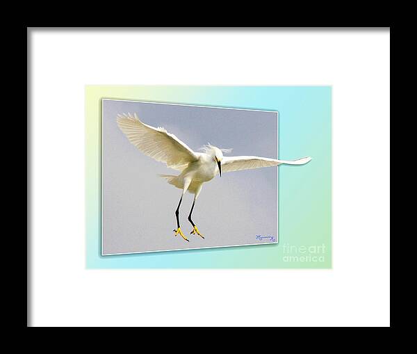 Fauna Framed Print featuring the photograph Watch Out Below by Mariarosa Rockefeller