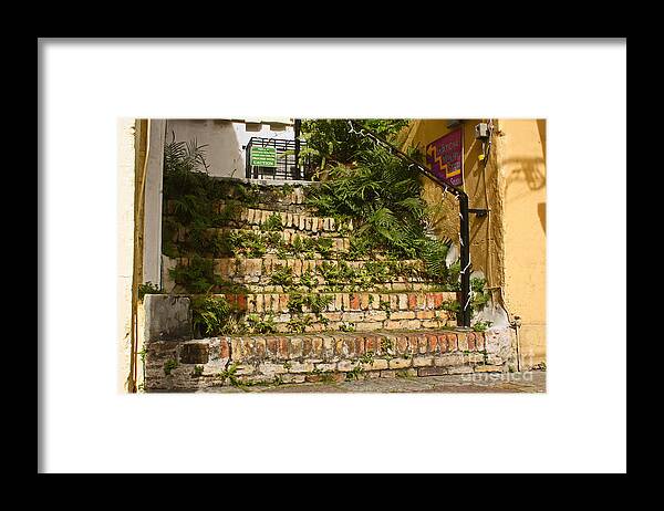 Wall Art Framed Print featuring the photograph Watch Your Step by Kelly Holm