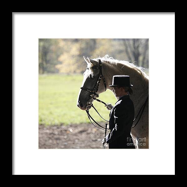 Horse Framed Print featuring the photograph Watching by Carol Lynn Coronios