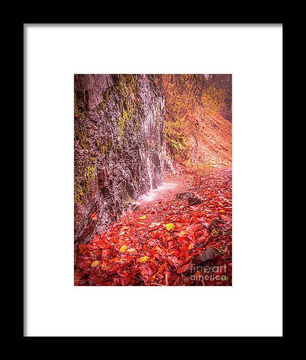 Autumn Framed Print featuring the photograph Water dripping on the rock wall by Claudia M Photography