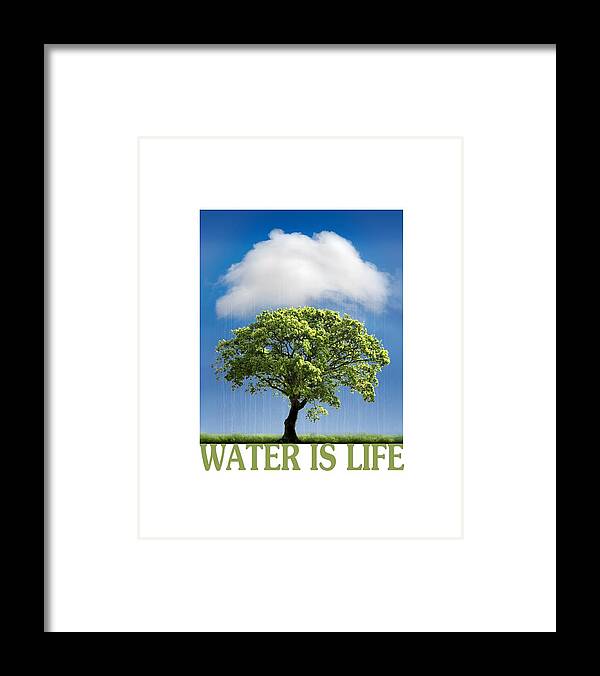 Water Framed Print featuring the photograph Water is Life by Mal Bray