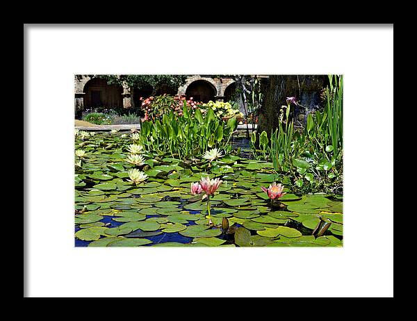 Glenn Mccarthy Framed Print featuring the photograph Water Lilies - Mission San Juan Capistrano by Glenn McCarthy Art and Photography