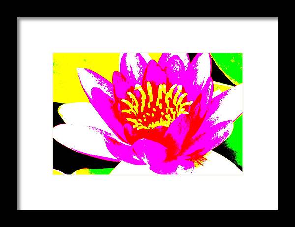 Abstract Water Lily Framed Print featuring the photograph Water Lily 2 by Douglas Pike