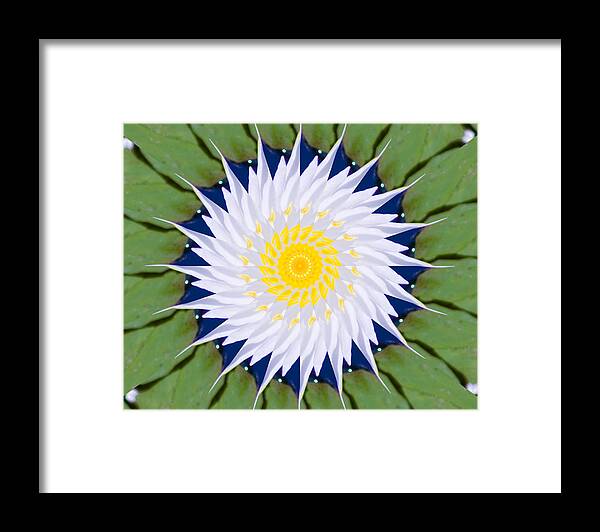 Water Framed Print featuring the photograph Water Lily Kaleidoscope by Bill Barber