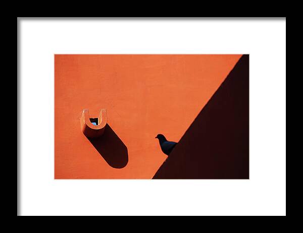 Shadow Photography Framed Print featuring the photograph Water Outlet Vs The Pigeon by Prakash Ghai