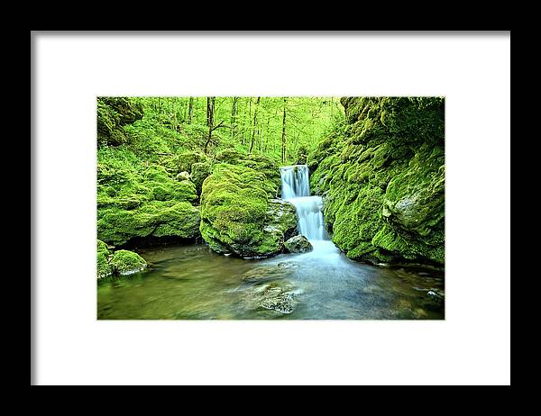 Mossy Framed Print featuring the photograph Water Stairs by Bonfire Photography