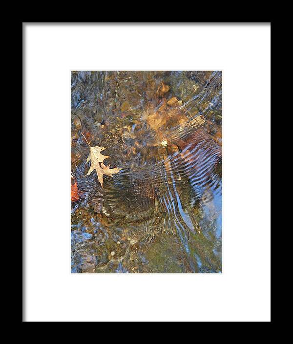 Waterscape Framed Print featuring the photograph Water World 218 by George Ramos