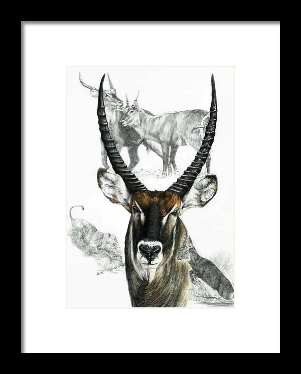 Ungulate Framed Print featuring the mixed media African Waterbuck Collage by Barbara Keith