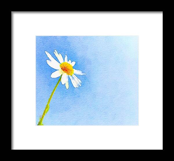 Watercolor Daisy Framed Print featuring the painting Watercolor Daisy by Marianna Mills