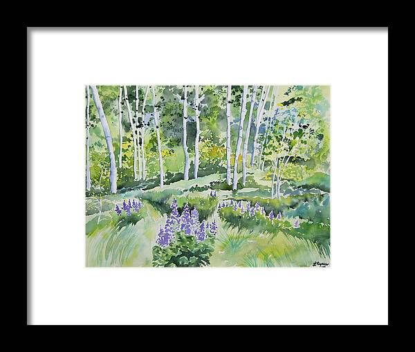 Aspen Framed Print featuring the painting Watercolor - Early Summer Aspen and Lupine by Cascade Colors