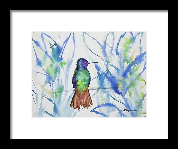 Golden-tailed Sapphire Framed Print featuring the painting Watercolor - Golden-tailed Sapphire by Cascade Colors