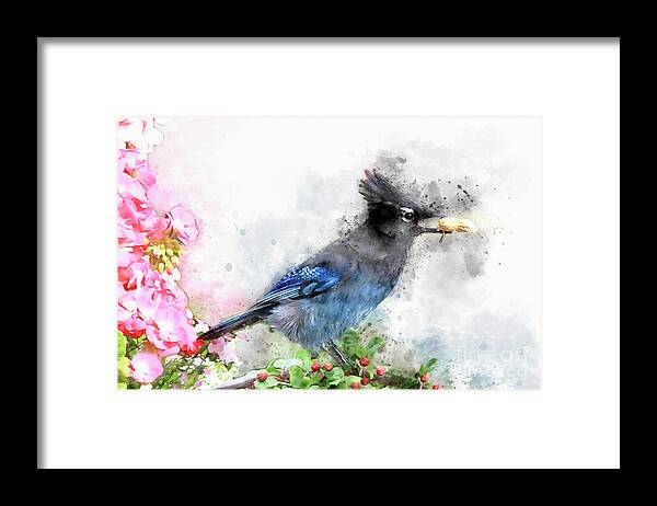 Bird Framed Print featuring the digital art Watercolored Steller's Jay by Teresa Zieba