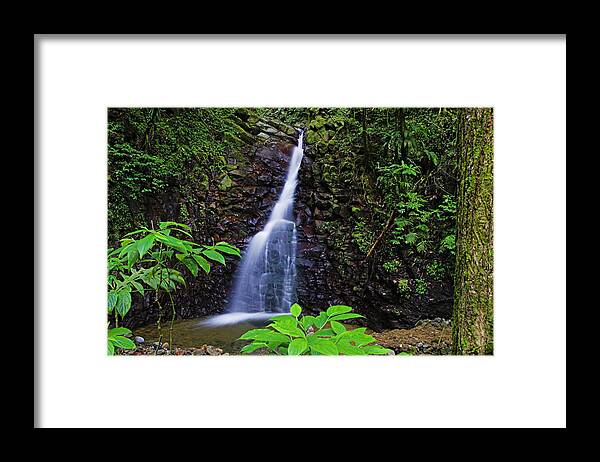 Waterfall Framed Print featuring the photograph Waterfall-1-St Lucia by Chester Williams