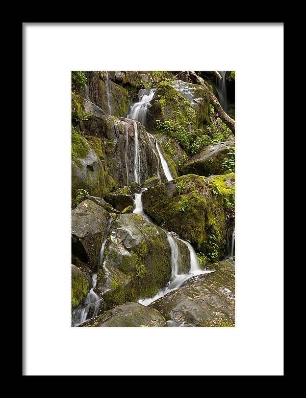 Smokies Framed Print featuring the photograph Waterfall 8968 by Peter Skiba