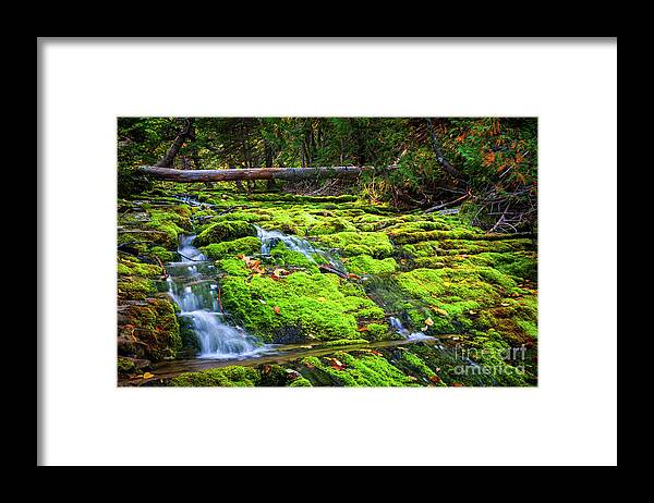 Waterfall Framed Print featuring the photograph Waterfall over mossy rocks by Elena Elisseeva