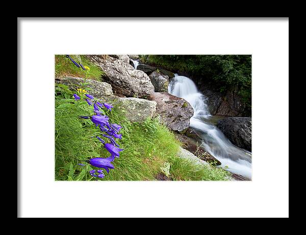 Wild Framed Print featuring the photograph Waterfalls and Bluebells by Mircea Costina Photography