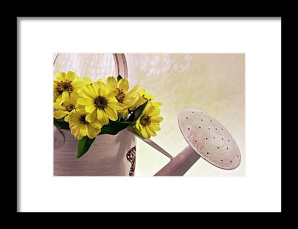 Daisies Framed Print featuring the photograph Watering Can Daisies by Sandra Foster