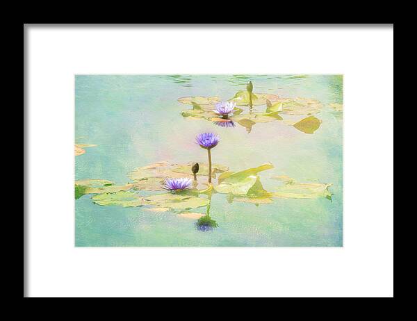 Flowers Fauna Water Textures Leaves Pads Framed Print featuring the photograph Waterlillies by Carolyn D'Alessandro