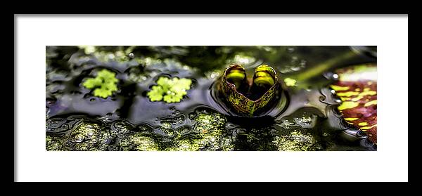 Waterlily Framed Print featuring the photograph Waterlily Love by Jackie Sajewski