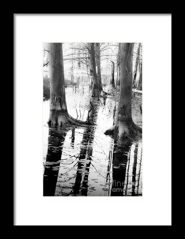 Waterscape Framed Print featuring the photograph Waterlogged by Sabrina Ramina