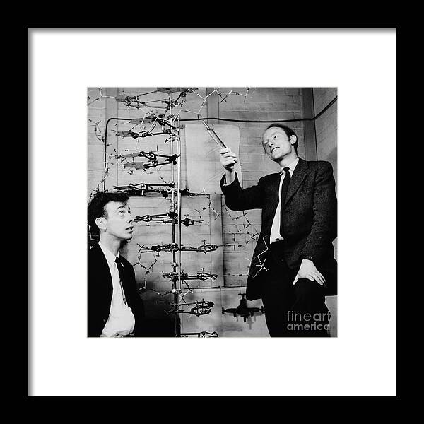 Watson Framed Print featuring the photograph Watson and Crick by A Barrington Brown and Photo Researchers