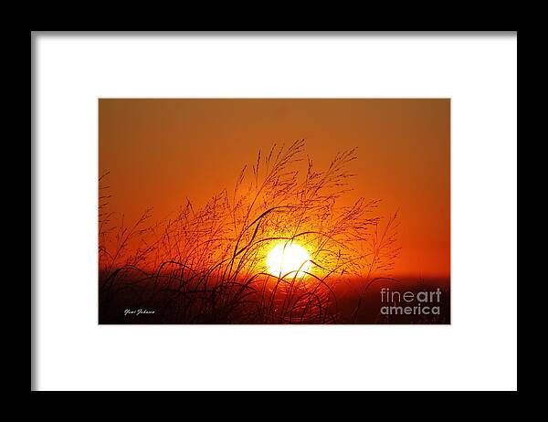 Sunsetting Framed Print featuring the photograph Waving Sun by Yumi Johnson