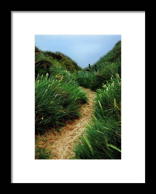 Beach Framed Print featuring the photograph Way Through The Dunes by Hannes Cmarits