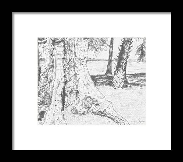 Drawing Framed Print featuring the drawing Weathered Trees by Steven Powers SMP