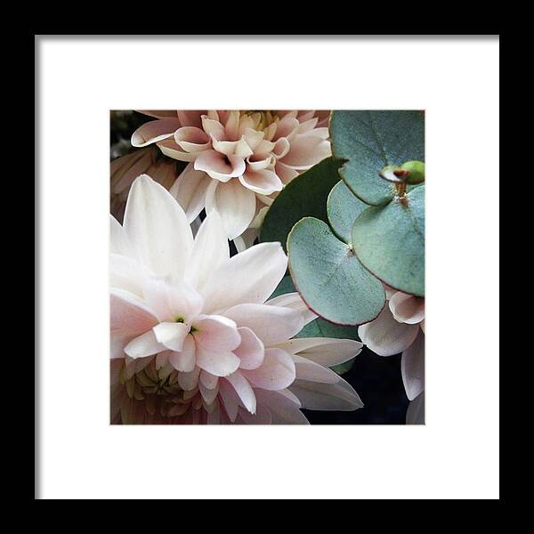Dahlia Framed Print featuring the photograph Wedding Leftovers, pretty and pink by Jacci Freimond Rudling